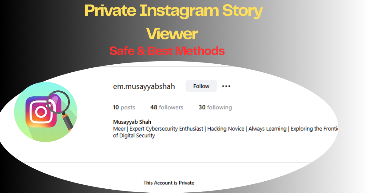 Instagram Story Viewer Private Account: Safe & Best Methods (2025 Guide)